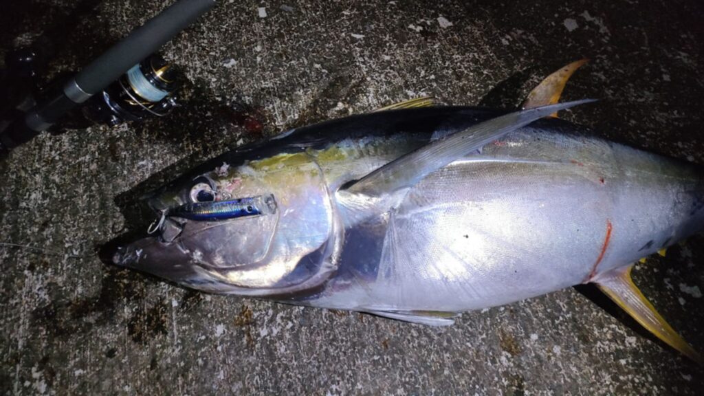 おすすめの釣り