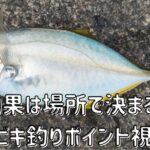 サビキ釣りポイント調査