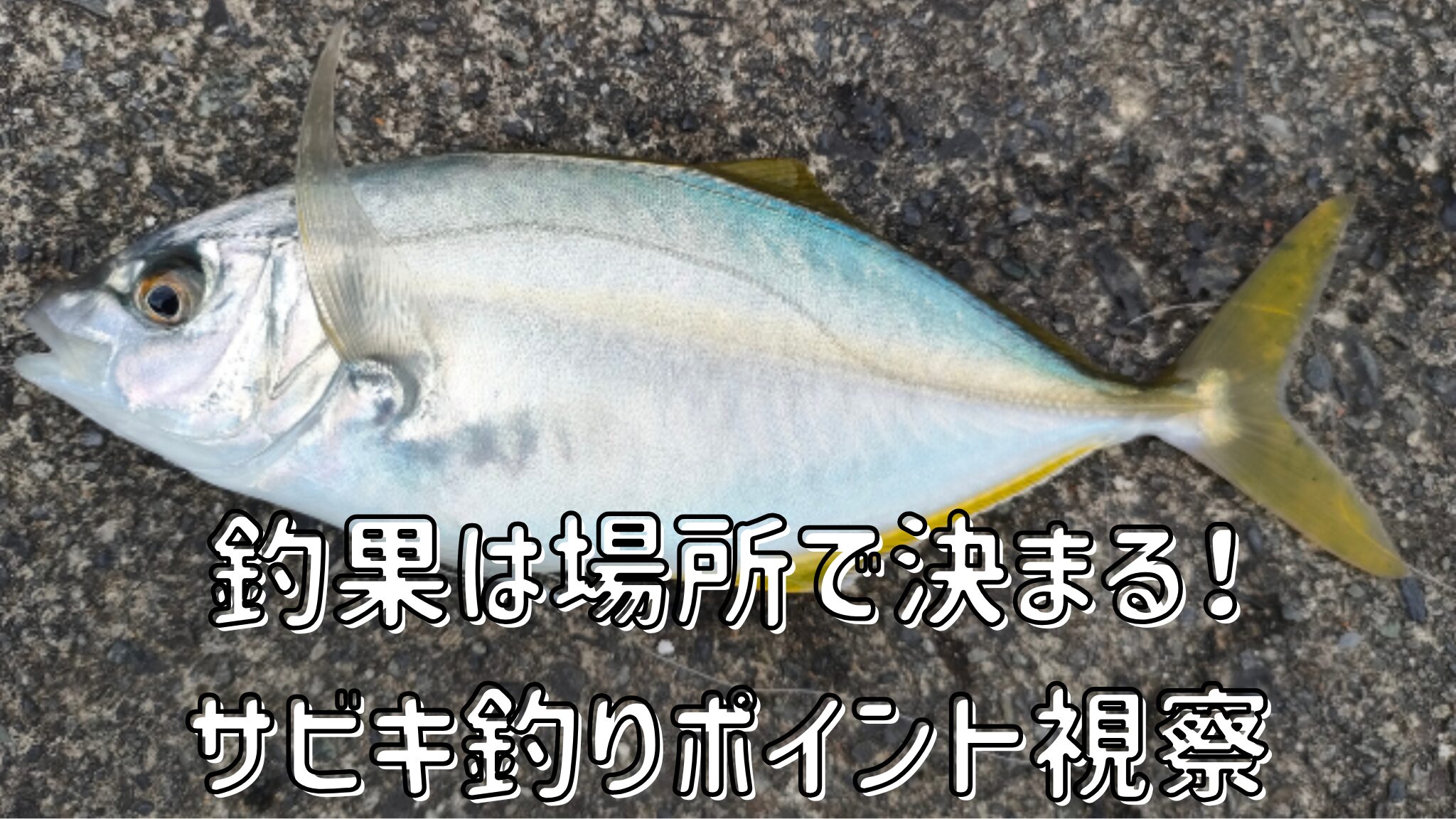 サビキ釣りポイント調査