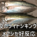 メアジ釣行