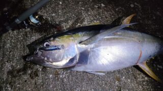 おすすめの釣り