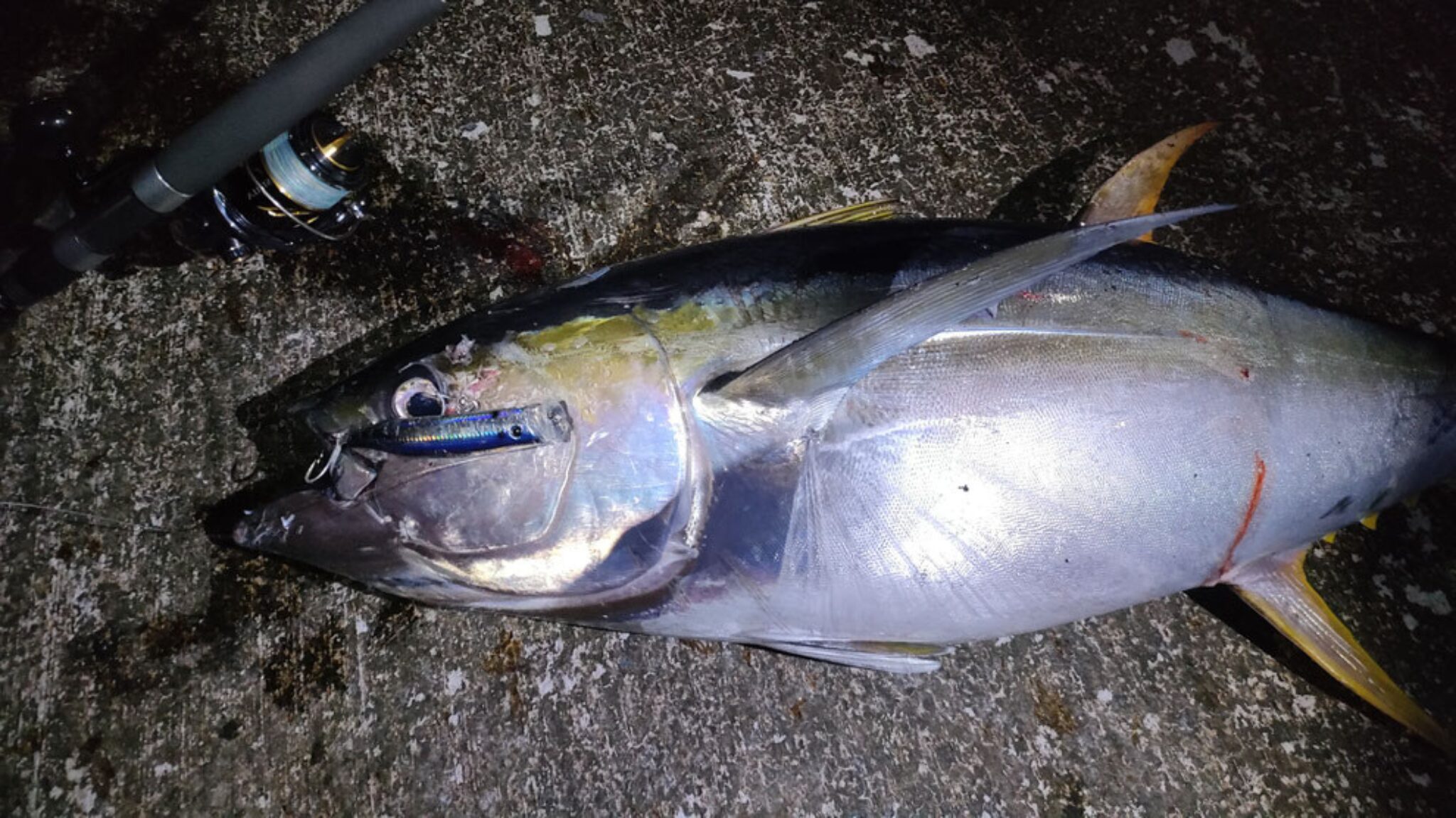 おすすめの釣り